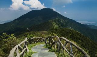 深圳横岗周边免费游玩景点